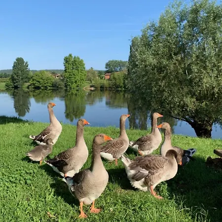 Otel Logis-hotel Cote-rivage