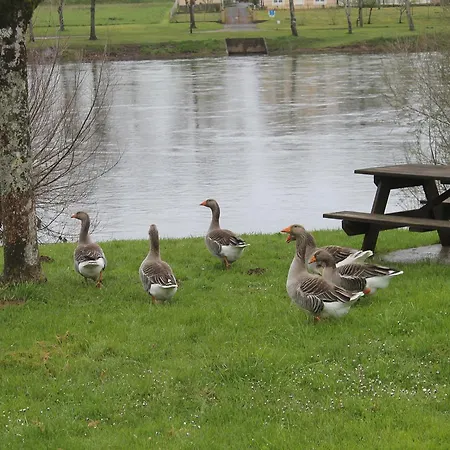 Otel Logis-hotel Cote-rivage 3*