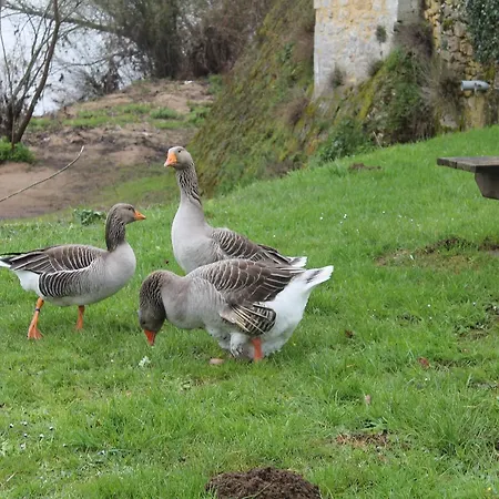 Otel Logis-hotel Cote-rivage 3*