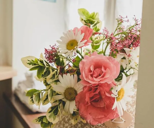 Отель Logis-hotel Cote-rivage