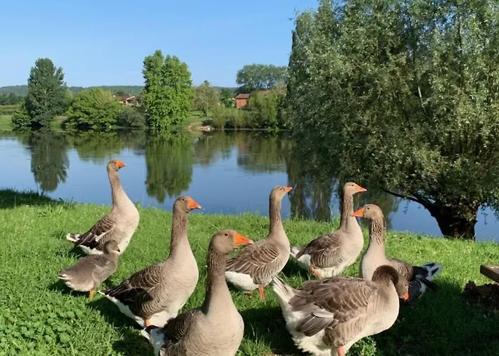 Отель Logis-hotel Cote-rivage