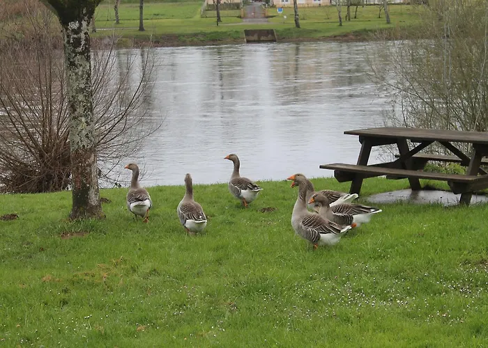 Отель Logis-hotel Cote-rivage 3*