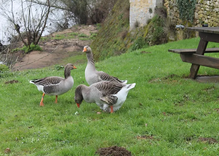 Hotel Logis-hotel Cote-rivage 3*